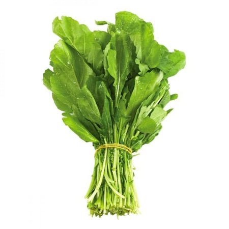 جرجير