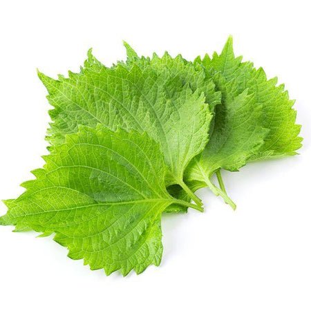 ورق عنب
