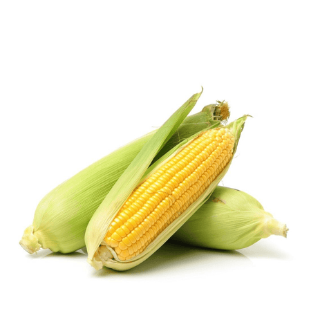 ذرة سكرية